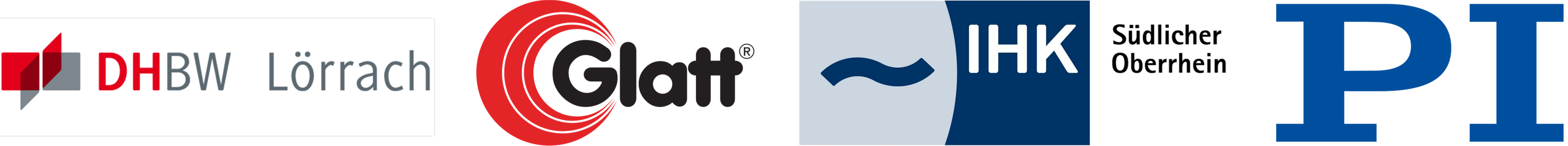 IIA Logoband 19.3