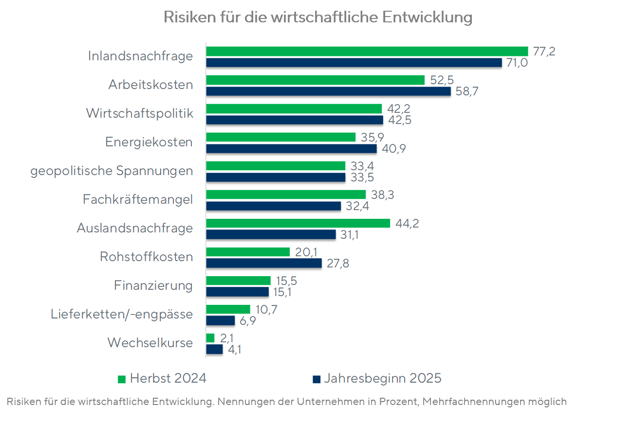 Konjunkturumfrage JB25 - Risiken