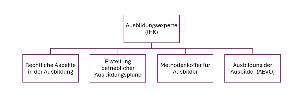 Schematische Darstellung der Kurse, die zum Ausbildungsexperten gehören.