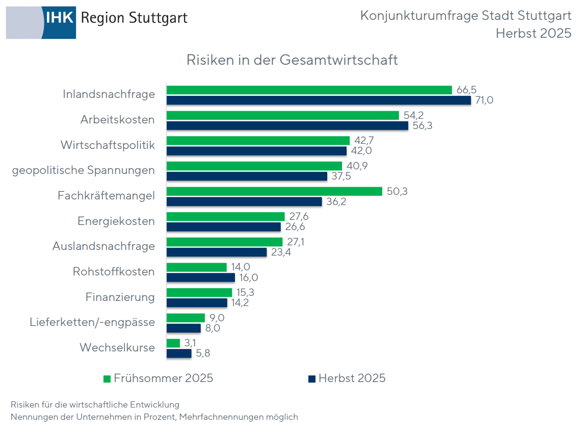 Risiken in der Gesamtwirtschaft