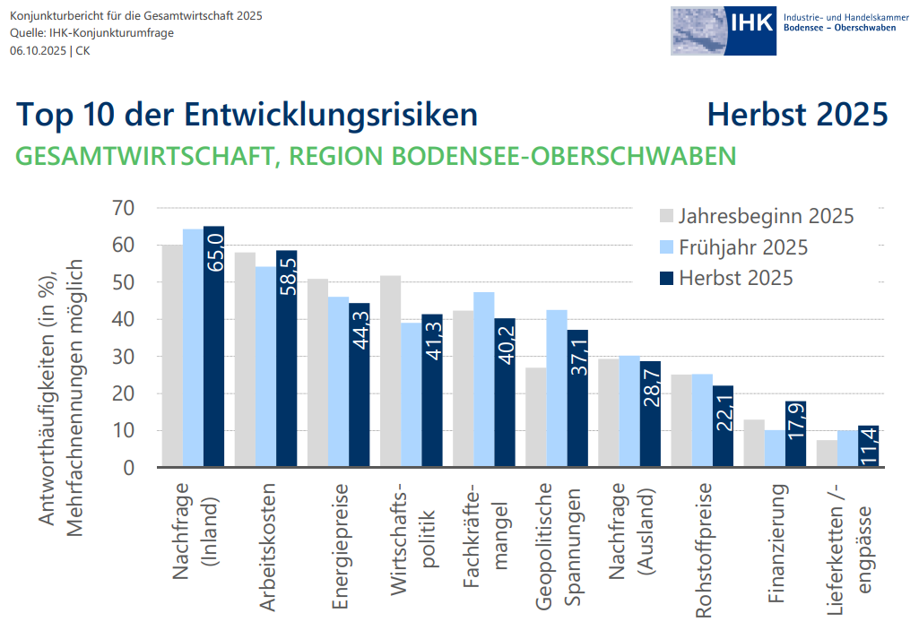 Grafik: Top 10 der Entwicklungsrisiken