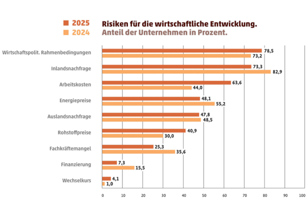 Wirtschaftliche Risiken: Balkendiagramm zu Hauptrisiken für Unternehmen 2024/2025.