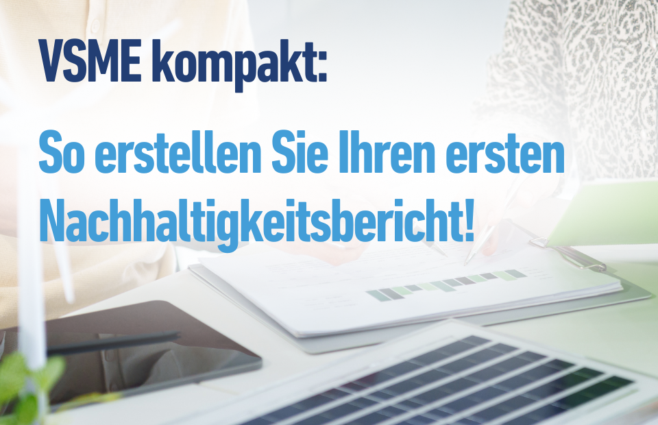 VSME kompakt_Bild