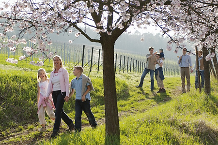 Wandergruppe in Weinbergen