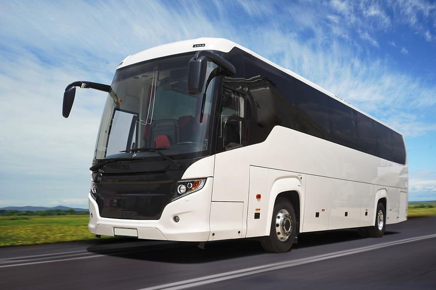 bus weiss