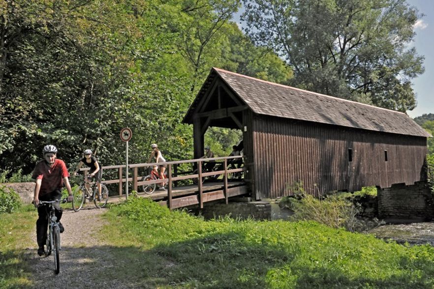 Radfahrer auf dem Radweg Neckarburg