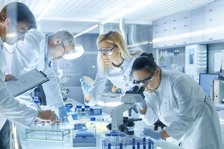 Mehrere Wissenschaftler arbeiten im Labor zusammen.