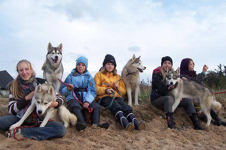 Kinder mit Huskys 