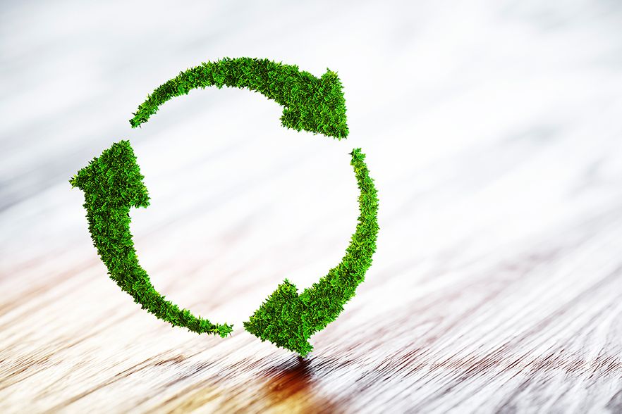 gr&uuml;ne Pfeile aus Gras bilden einen Kreis