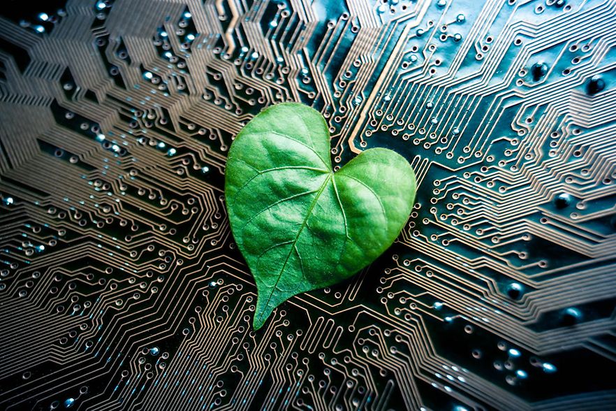 A,Green,Leaf,With,A,Heart,Shape,On,A,Computer