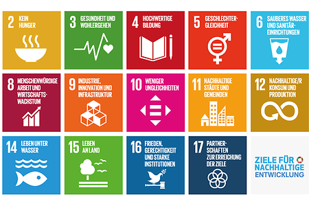 SDG-Teaser