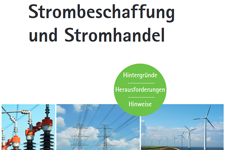 Strombeschaffung_Faktenpapier (nicht barrierefrei, PDF-Datei)