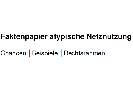 Netznutzung_Faktenpapier (nicht barrierefrei, PDF-Datei)