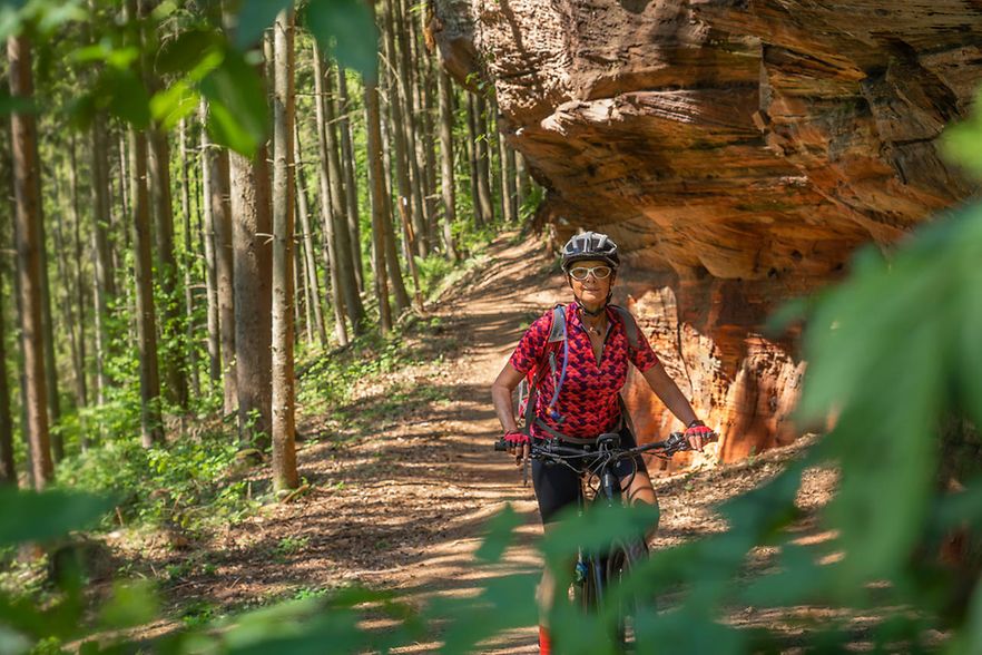 Radlerin im Pf&auml;lzer Wald