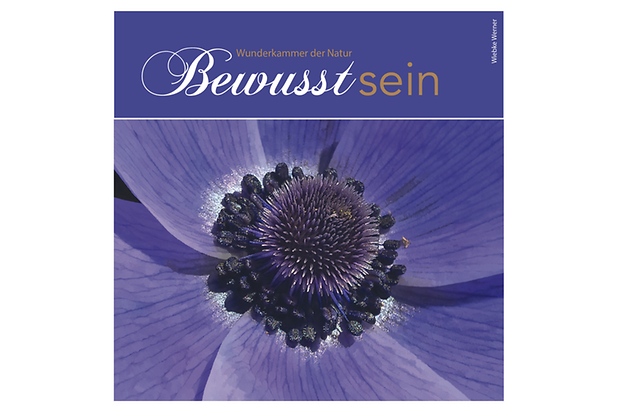 Bildband-Cover Bewusstsein