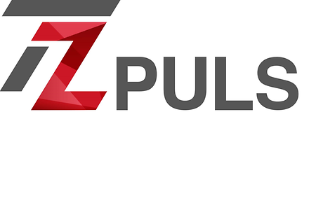 Logo_TZPULS_ohne Slogan 2