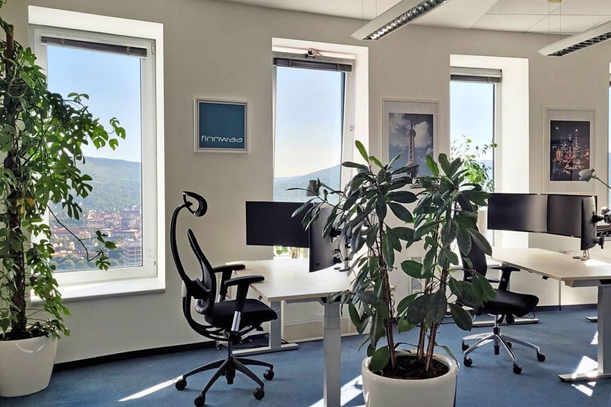 Finnwaa-Workspace_Inet_nurOwi