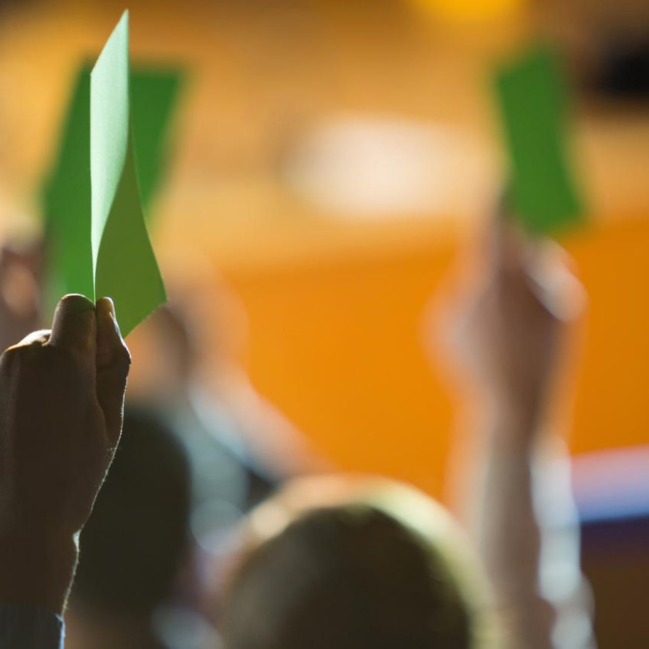 Nahaufnahme einer Hand, die während einer Abstimmung eine grüne Karte hochhält