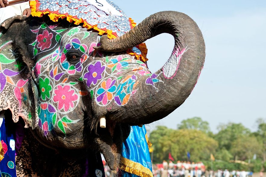 Elefant_bemalt_RuthChoi_shutterstock_Inet