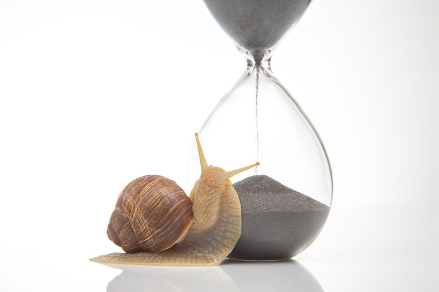 Schneckentempo_Oleg Troino_shutterstock_Inet