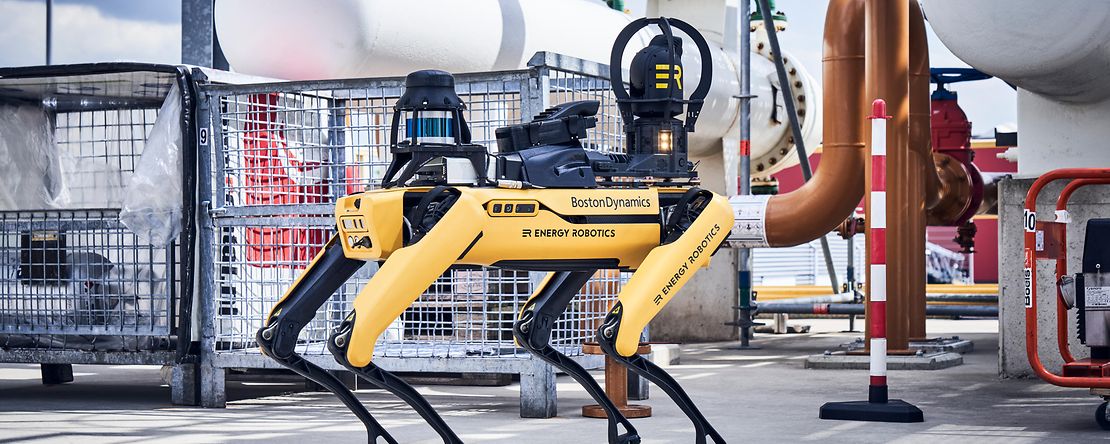 Künstliche Intelligenz lernt und passt sich an Robothund
