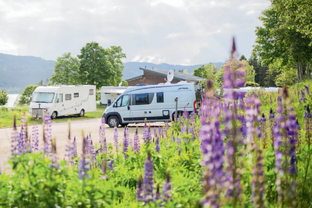 Camping- und Reisemobiltourismus