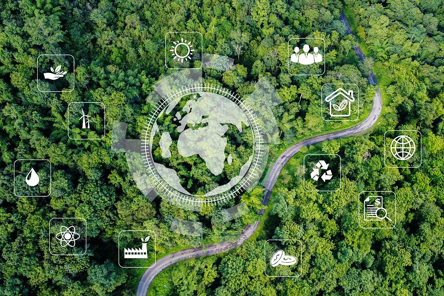 Umwelt_Nachhaltigkeit_Wald_Icons_AdobeStock_523168002