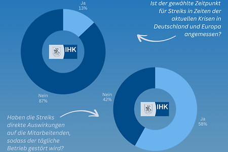 Grafik in einem runden Diagramm mit Zahlen einer Auswertung