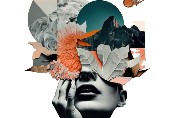 fokus_fachart._AdobeStock_577137152