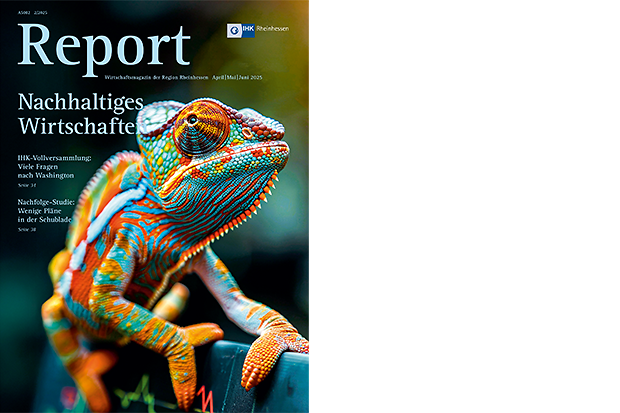 Cover_Report_02_2025 (nicht barrierefrei, PDF-Datei)