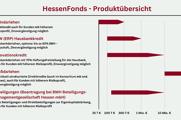 In der linken Spalte werden die 5 Produkte vorgestellt, in der rechten stehen die Beträge, die zugebilligt werden.