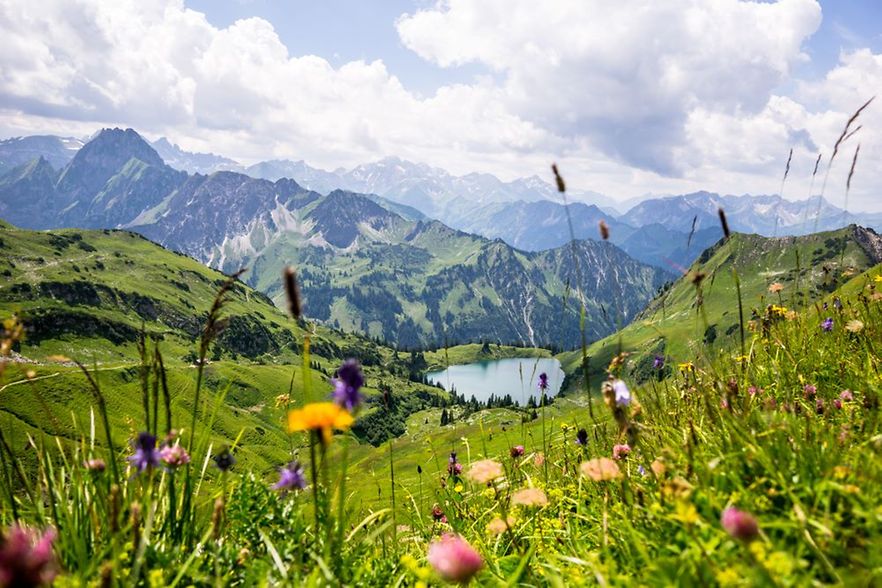 AdobeStock_229906533