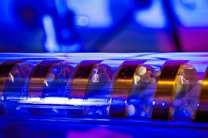 Plasmabehandlung von Lupine
