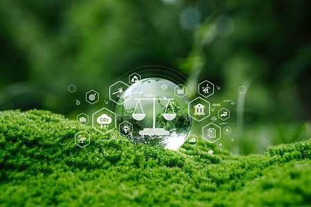 Sustainability,Environmental,Law,,Co2,Reduction.,Glass,Globe,On,Green,Moss