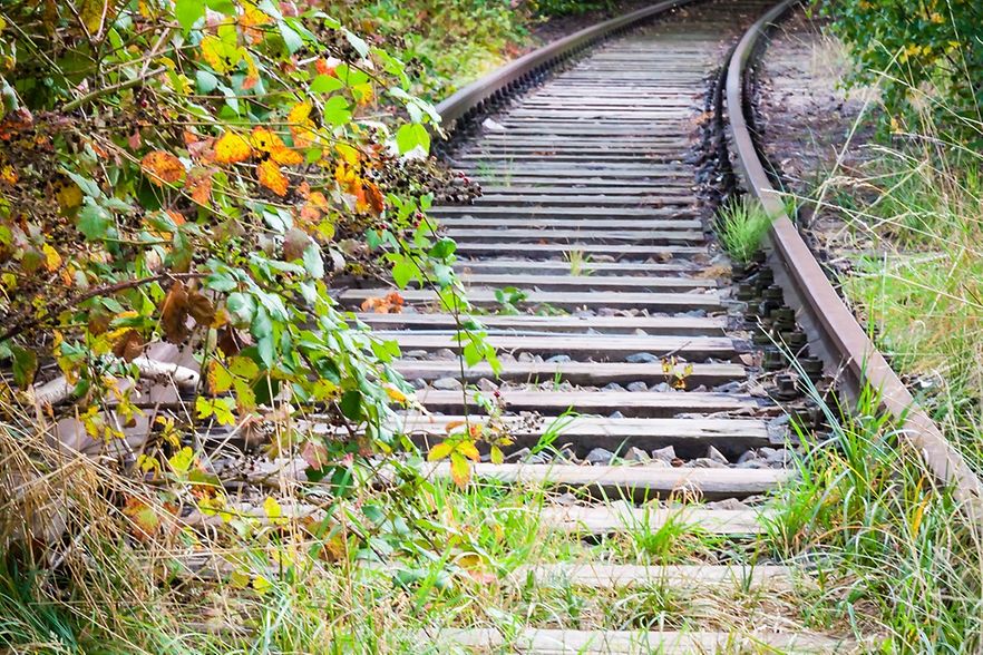 Bewachsene Bahnschienen durch den Wald