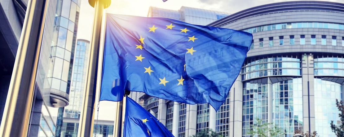 Europaflaggen vor den Parlament-Geb&auml;uden in Br&uuml;ssel