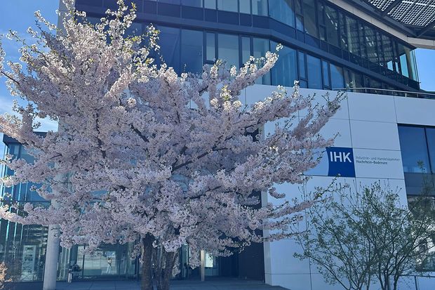 IHK Frühling