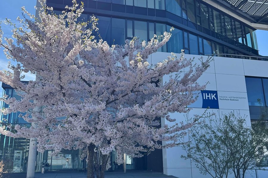 IHK Frühling