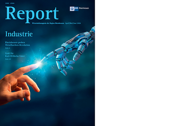 report-26-02-data (nicht barrierefrei, PDF-Datei)