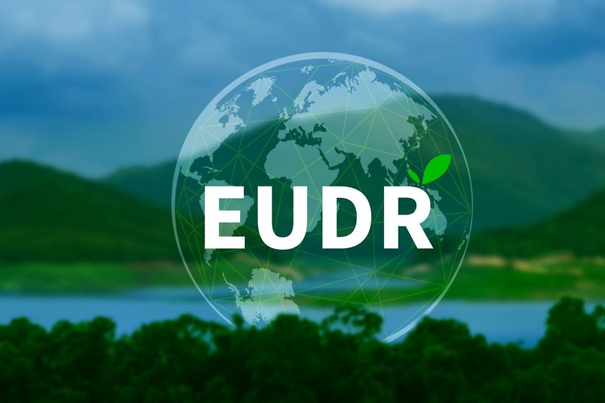 EUDR_iStock(c)rawintanpin - bearbeitet
