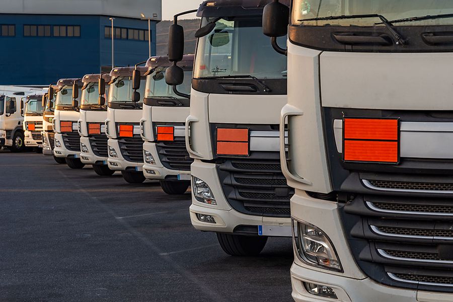 Fleet of trucks dedicated to the transport of dangerous goods parked in a line, with orange plates identifying ADR transport.