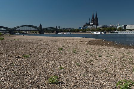K&ouml;lner Dom und die Hohenzollernbr&uuml;cke bei Niedrigwasser des Rheins