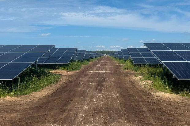 Feld mit ganz vielen Solarpanelen