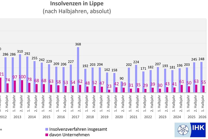 Das Bild zeigt eine Grafik der halbj&auml;hrlichen Insolvenzen in Lippe seit 2009.