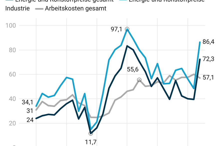 Konjunkturrisiken: Energie- und Rohstoffpreise | Arbeitskosten