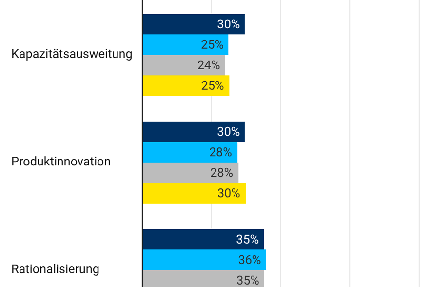Investitionsmotive